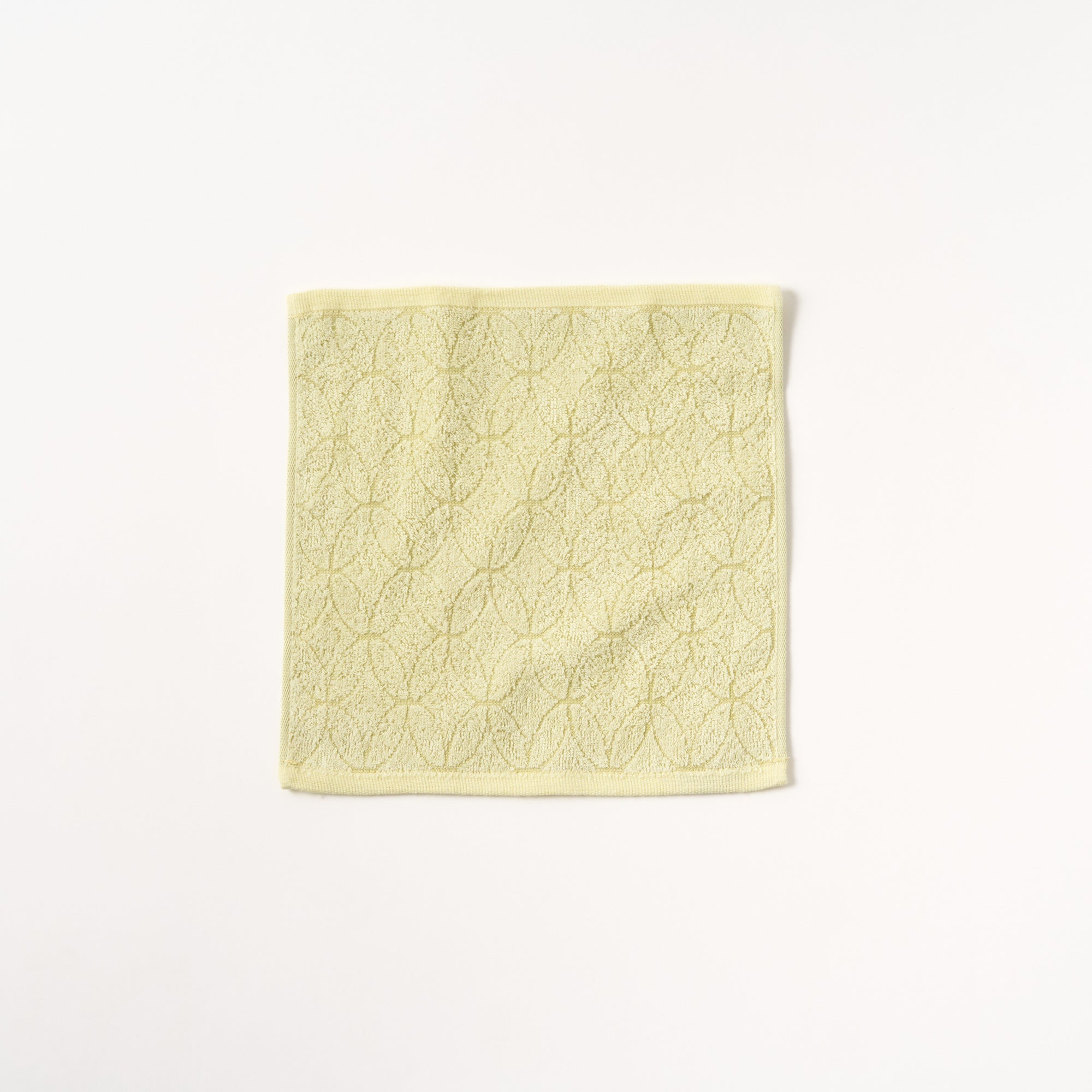 雫～SHIZUKU～パイル